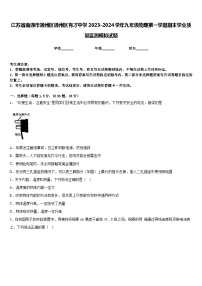 江苏省南通市通州区通州区育才中学2023-2024学年九年级物理第一学期期末学业质量监测模拟试题含答案