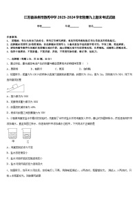 江苏省徐州市撷秀中学2023-2024学年物理九上期末考试试题含答案