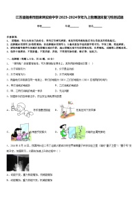 江苏省扬州市田家炳实验中学2023-2024学年九上物理期末复习检测试题含答案