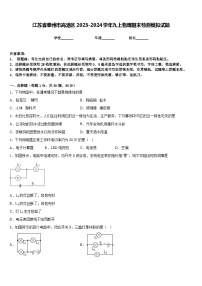 江苏省泰州市高港区2023-2024学年九上物理期末检测模拟试题含答案