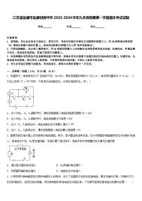 江苏省盐都市盐都初级中学2023-2024学年九年级物理第一学期期末考试试题含答案