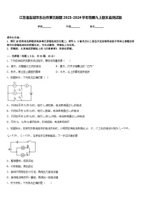 江苏省盐城市东台市第五联盟2023-2024学年物理九上期末监测试题含答案