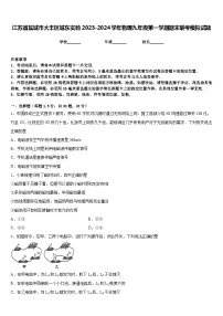 江苏省盐城市大丰区城东实验2023-2024学年物理九年级第一学期期末联考模拟试题含答案