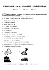 江苏省连云港东海县联考2023-2024学年九年级物理第一学期期末达标检测模拟试题含答案