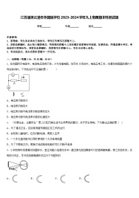 江苏省连云港市外国语学校2023-2024学年九上物理期末检测试题含答案