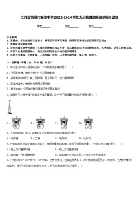 江苏省苏州市振华中学2023-2024学年九上物理期末调研模拟试题含答案