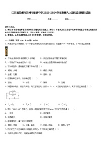 江苏省苏州市苏州市星港中学2023-2024学年物理九上期末监测模拟试题含答案