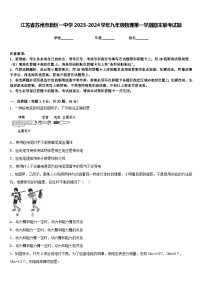 江苏省苏州市新区一中学2023-2024学年九年级物理第一学期期末联考试题含答案