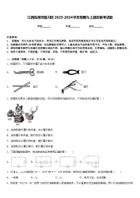 江西抚州市临川区2023-2024学年物理九上期末联考试题含答案