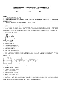 江西省分宜县2023-2024学年物理九上期末联考模拟试题含答案