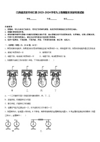 江西省吉安市峡江县2023-2024学年九上物理期末质量检测试题含答案