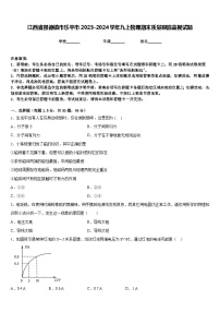 江西省景德镇市乐平市2023-2024学年九上物理期末质量跟踪监视试题含答案