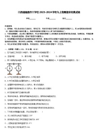 江西省南昌市十学校2023-2024学年九上物理期末经典试题含答案