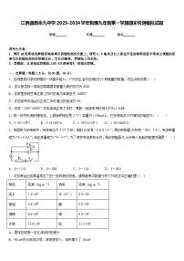 江西省新余九中学2023-2024学年物理九年级第一学期期末检测模拟试题含答案