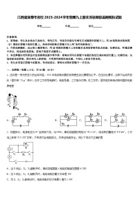 江西省宜春市名校2023-2024学年物理九上期末质量跟踪监视模拟试题含答案