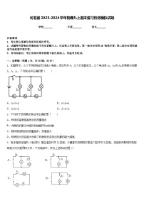 河北省2023-2024学年物理九上期末复习检测模拟试题含答案