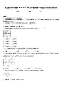 河北省保定市定州市2023-2024学年九年级物理第一学期期末教学质量检测试题含答案