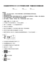 河北省保定市阜平县2023-2024学年物理九年级第一学期期末复习检测模拟试题含答案