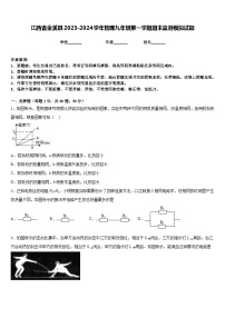 江西省金溪县2023-2024学年物理九年级第一学期期末监测模拟试题含答案