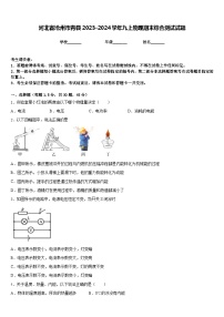 河北省沧州市青县2023-2024学年九上物理期末综合测试试题含答案