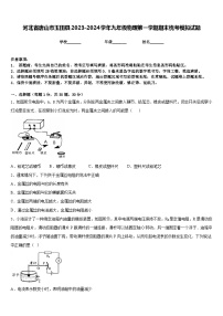 河北省唐山市玉田县2023-2024学年九年级物理第一学期期末统考模拟试题含答案