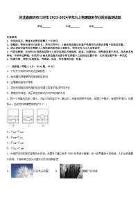 河北省廊坊市三河市2023-2024学年九上物理期末学业质量监测试题含答案