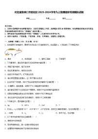 河北省张家口市宣化区2023-2024学年九上物理期末检测模拟试题含答案