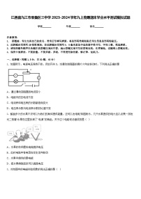 江西省九江市柴桑区三中学2023-2024学年九上物理期末学业水平测试模拟试题含答案