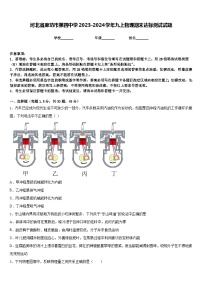 河北省廊坊市第四中学2023-2024学年九上物理期末达标测试试题含答案