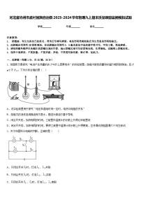 河北省沧州市孟村回族自治县2023-2024学年物理九上期末质量跟踪监视模拟试题含答案