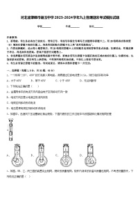 河北省邯郸市锦玉中学2023-2024学年九上物理期末考试模拟试题含答案