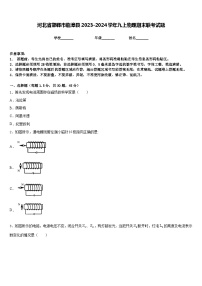 河北省邯郸市临漳县2023-2024学年九上物理期末联考试题含答案