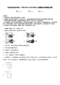 河北省石家庄市四十一中学2023-2024学年九上物理期末经典模拟试题含答案