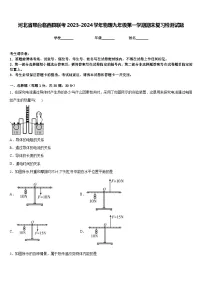 河北省邢台临西县联考2023-2024学年物理九年级第一学期期末复习检测试题含答案
