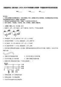 河南省各地（部分地区）2023-2024学年物理九年级第一学期期末教学质量检测试题含答案