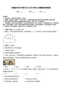 河南省开封市兰考县2023-2024学年九上物理期末调研试题含答案