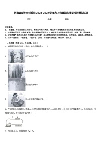 河南省新乡市封丘县2023-2024学年九上物理期末质量检测模拟试题含答案