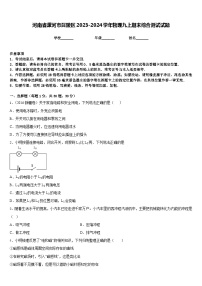 河南省漯河市召陵区2023-2024学年物理九上期末综合测试试题含答案