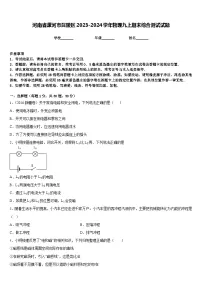 河南省漯河市召陵区2023-2024学年物理九上期末综合测试试题含答案