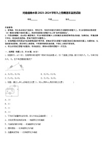 河南省商水县2023-2024学年九上物理期末监测试题含答案