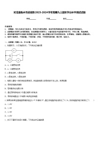 河北省衡水市故城县2023-2024学年物理九上期末学业水平测试试题含答案