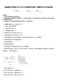 河南省新乡市延津县2023-2024学年物理九年级第一学期期末学业水平测试试题含答案