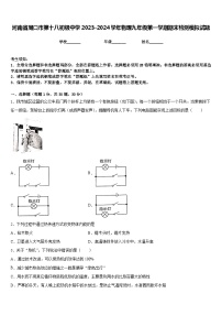 河南省周口市第十八初级中学2023-2024学年物理九年级第一学期期末检测模拟试题含答案