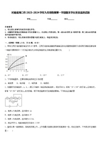 河南省周口市2023-2024学年九年级物理第一学期期末学业质量监测试题含答案
