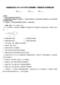 河南省部分地区2023-2024学年九年级物理第一学期期末复习检测模拟试题含答案