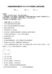 河南省郑州枫杨外国语中学2023-2024学年物理九上期末检测试题含答案