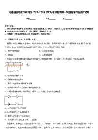 河南省驻马店市驿城区2023-2024学年九年级物理第一学期期末综合测试试题含答案