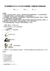 浙江温州第四中学2023-2024学年九年级物理第一学期期末复习检测模拟试题含答案