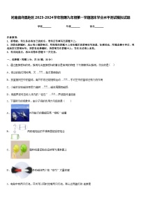 河南省许昌地区2023-2024学年物理九年级第一学期期末学业水平测试模拟试题含答案