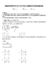 海南省澄迈县澄迈中学2023-2024学年九上物理期末学业质量监测模拟试题含答案